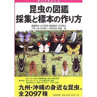 自由研究 工作 なら 夏休み の 宿題 お助け してネット 昆虫の図鑑採集と標本の作り方